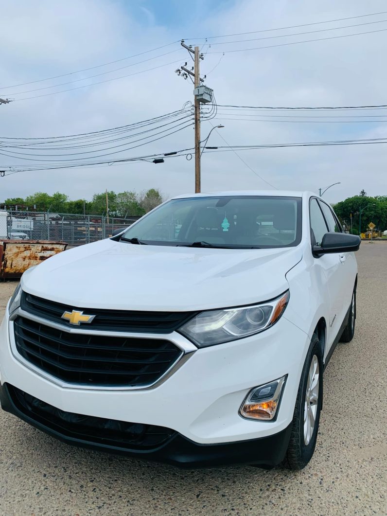 
								2019 CHEVROLET EQUINOX LS full									