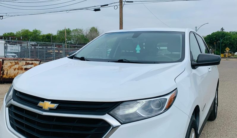 
								2019 CHEVROLET EQUINOX LS full									