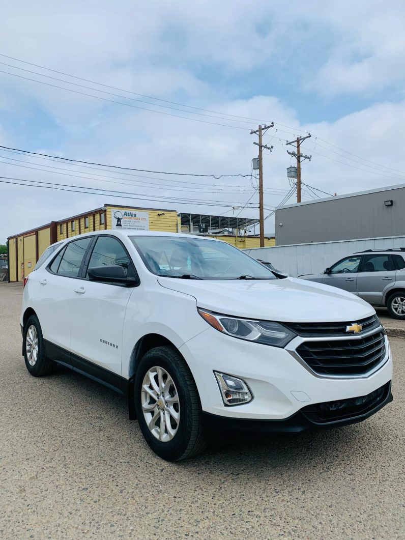 
								2019 CHEVROLET EQUINOX LS full									