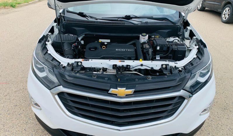 
								2019 CHEVROLET EQUINOX LS full									