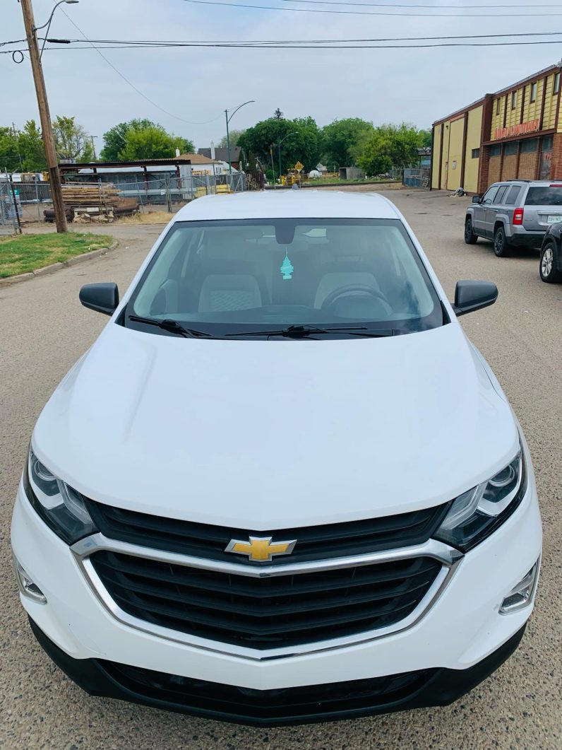 
								2019 CHEVROLET EQUINOX LS full									