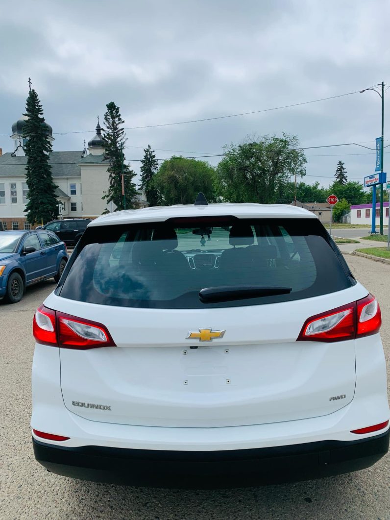 
								2019 CHEVROLET EQUINOX LS full									