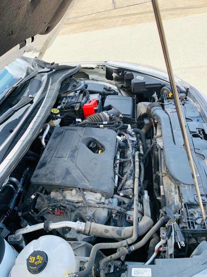 
								2020 Ford Escape SE full									