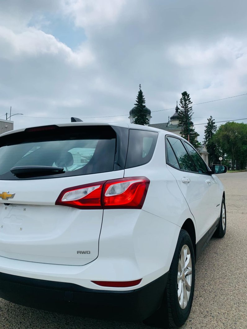 
								2019 CHEVROLET EQUINOX LS full									