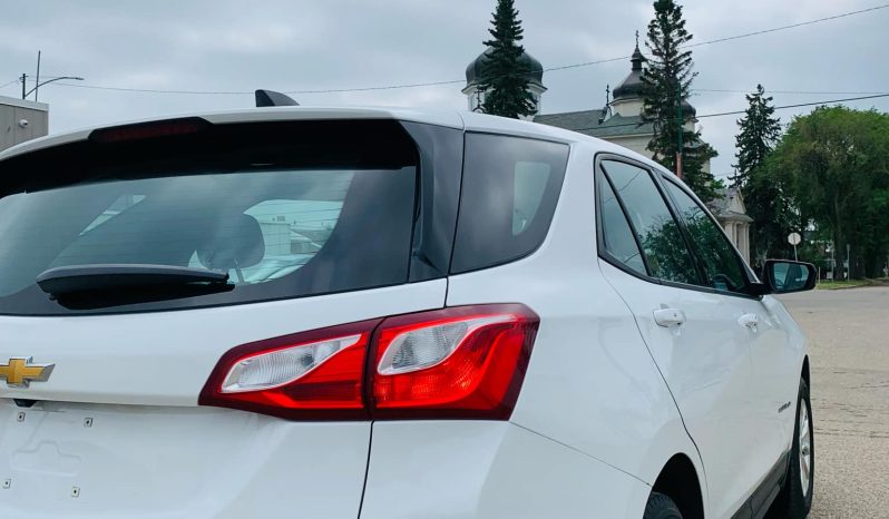 
								2019 CHEVROLET EQUINOX LS full									