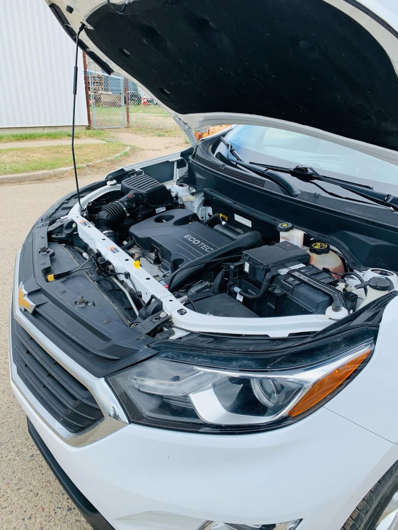 
								2019 CHEVROLET EQUINOX LS full									