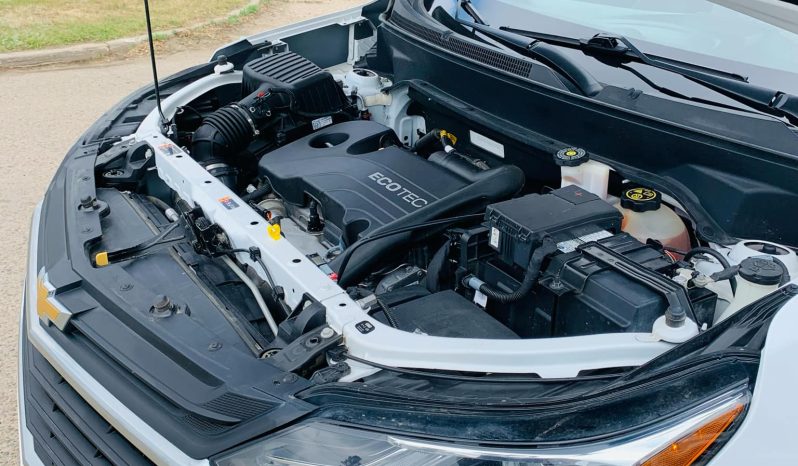 
								2019 CHEVROLET EQUINOX LS full									